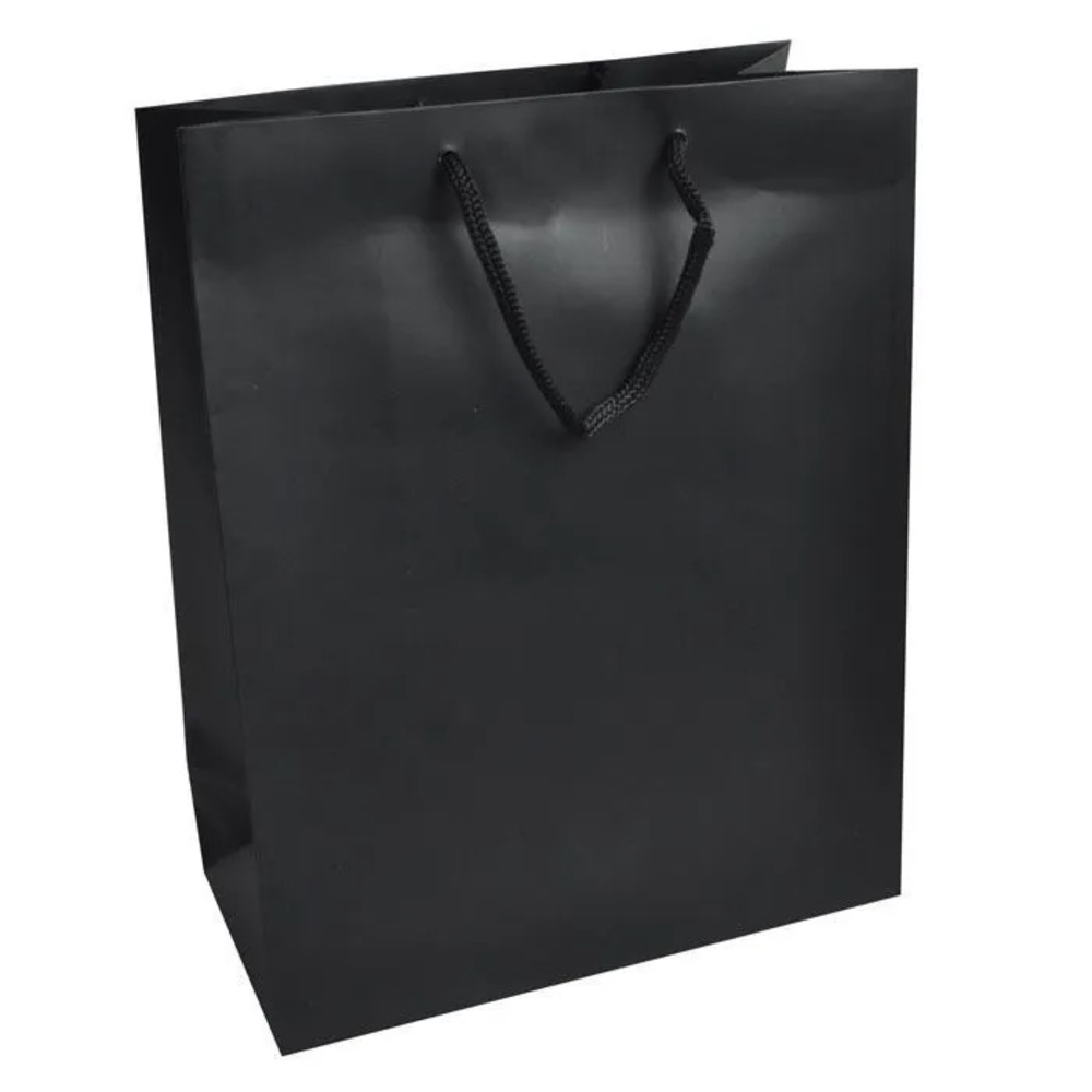 20ct Black Gift Bags | Luxury Paper | Brand New